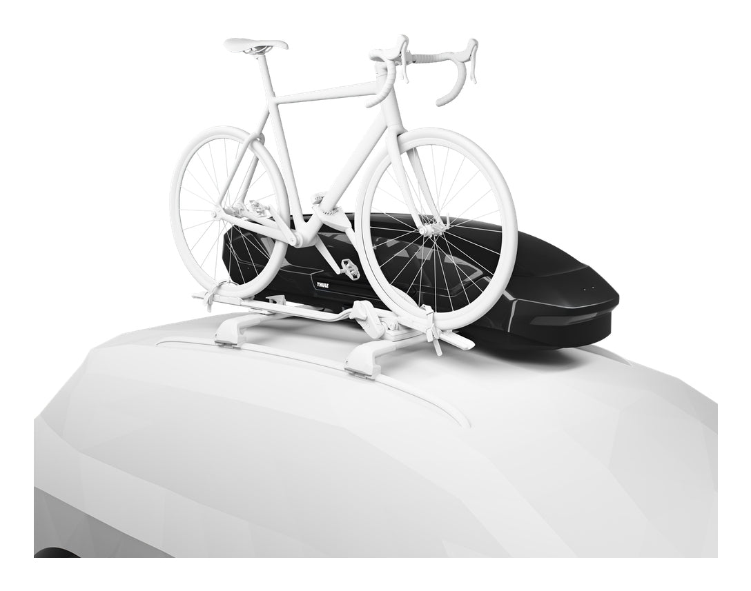 Thule Motion 3 Sport – Hartschalen-Dachbox, 300 l, 65 × 42 × 188 cm, Schwarz glänzend