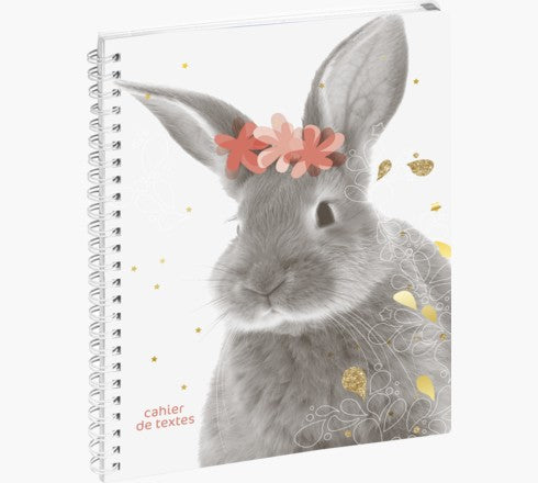 Exacompta Lovely – Schulagenda ohne Jahr, 17,0 × 22,0 cm, Spiralbindung, Französisch