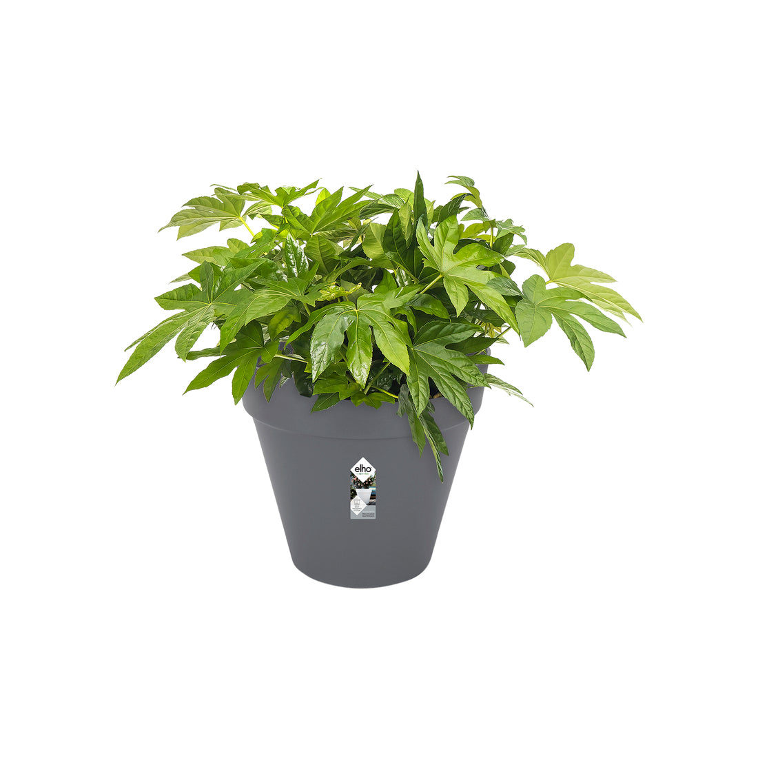 elho Topfpflanzer – Ø 48,5 cm × 44,5 cm – Kunststoff, schwarz