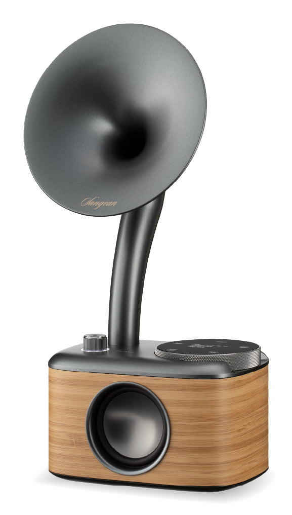 Sangean CP-100D – DAB+/UKW-Tischradio, Bluetooth – Grau/Hellbraun