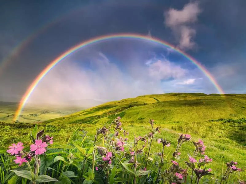 Ravensburger Puzzle Regenbogen – 1500 Teile – 80 × 60 cm – ab 14 Jahren – Karton – Mehrfarbig