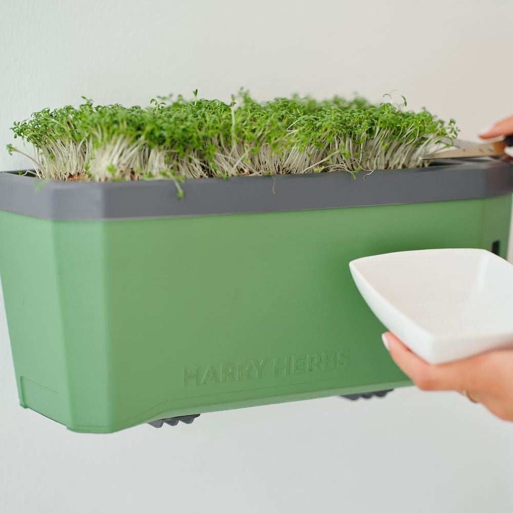 Gusta Garden Wandhalterung – Polypropylen/Stahl – Schwarz – für diverse Anwendungen