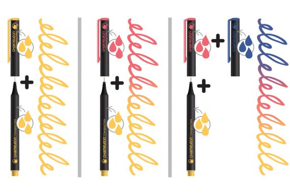 Chameleon FL0602 Fineliner Set – 6 Stk., 0,3 mm, 6 Farben, Nature, Tinte auf Wasserbasis