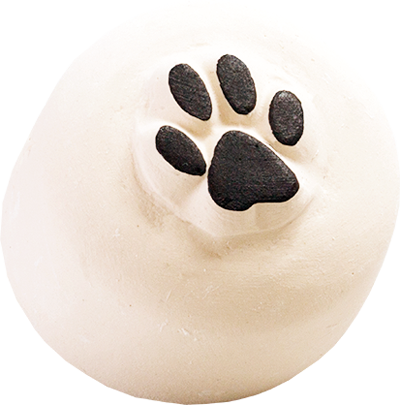 Colop Motivstempel – Katzenpfote LaDot – Keramik – Abdruck 15 × 15 mm – für Haut