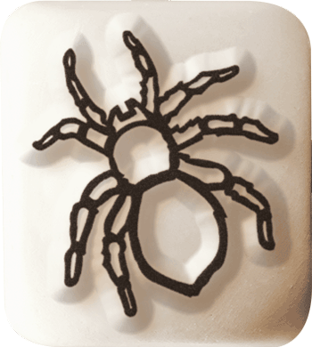 Colop Stempel LaDot – Motiv Spinne – S, 1,5 × 1,5 cm