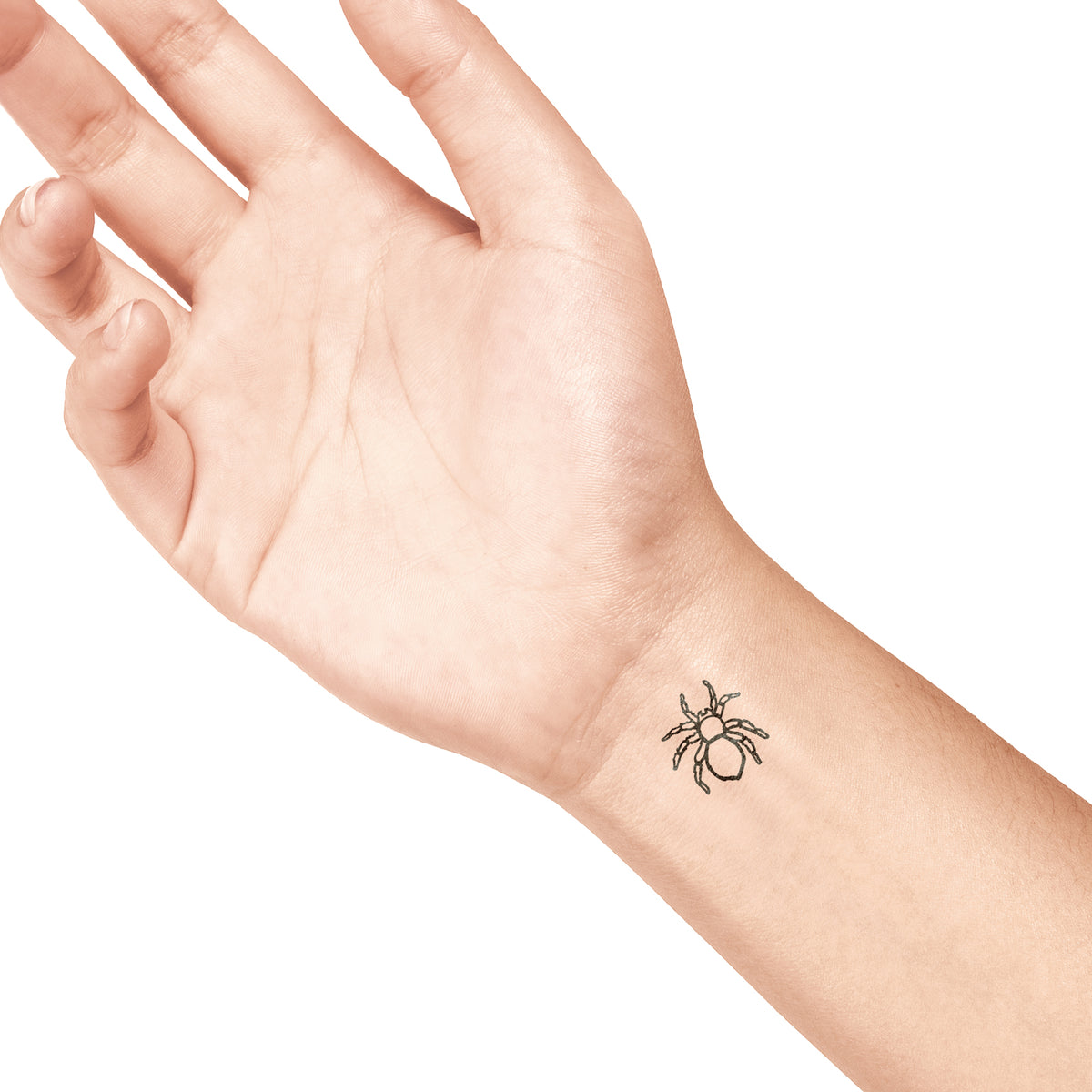 Colop Stempel LaDot – Motiv Spinne – S, 1,5 × 1,5 cm