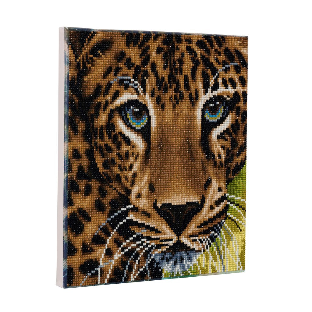 CRAFT Buddy Crystal Art Kit – Diamond Painting Set Leopard – 30 × 30 cm – 11-teilig – ab 8 Jahren