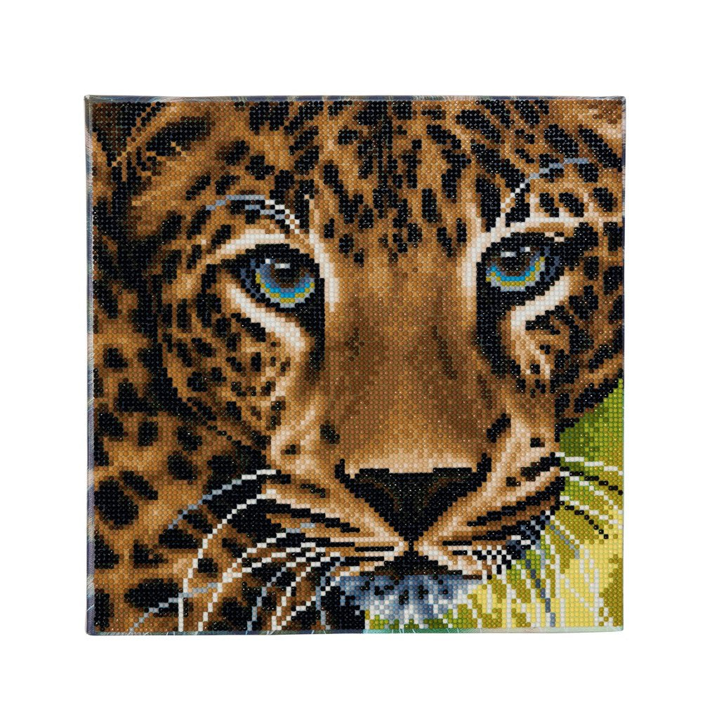 CRAFT Buddy Crystal Art Kit – Diamond Painting Set Leopard – 30 × 30 cm – 11-teilig – ab 8 Jahren