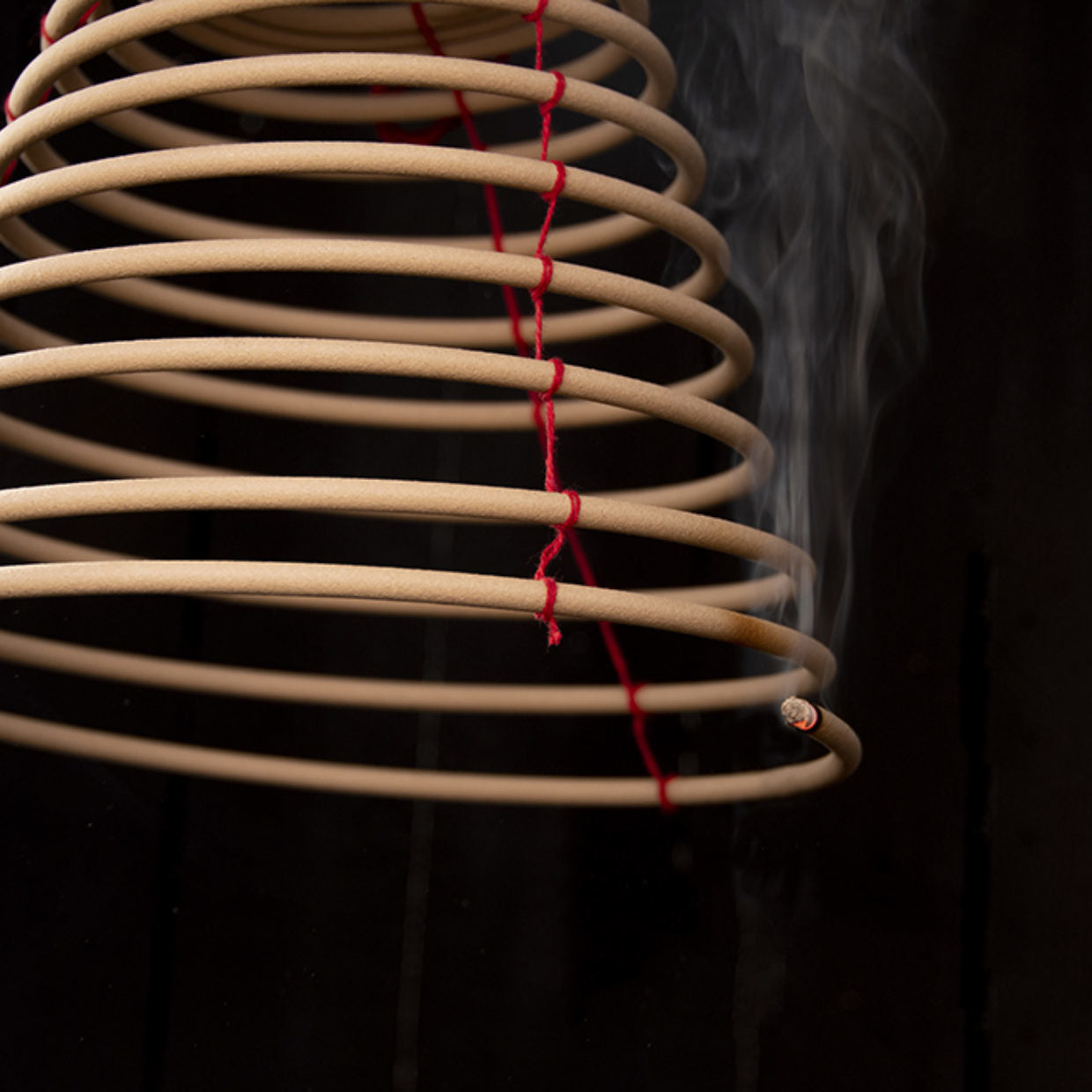 Esschert Design FF449 Citronella Spirale hängend Insektenfalle – 16,8 × 11,5 cm – Braun – für Mücken