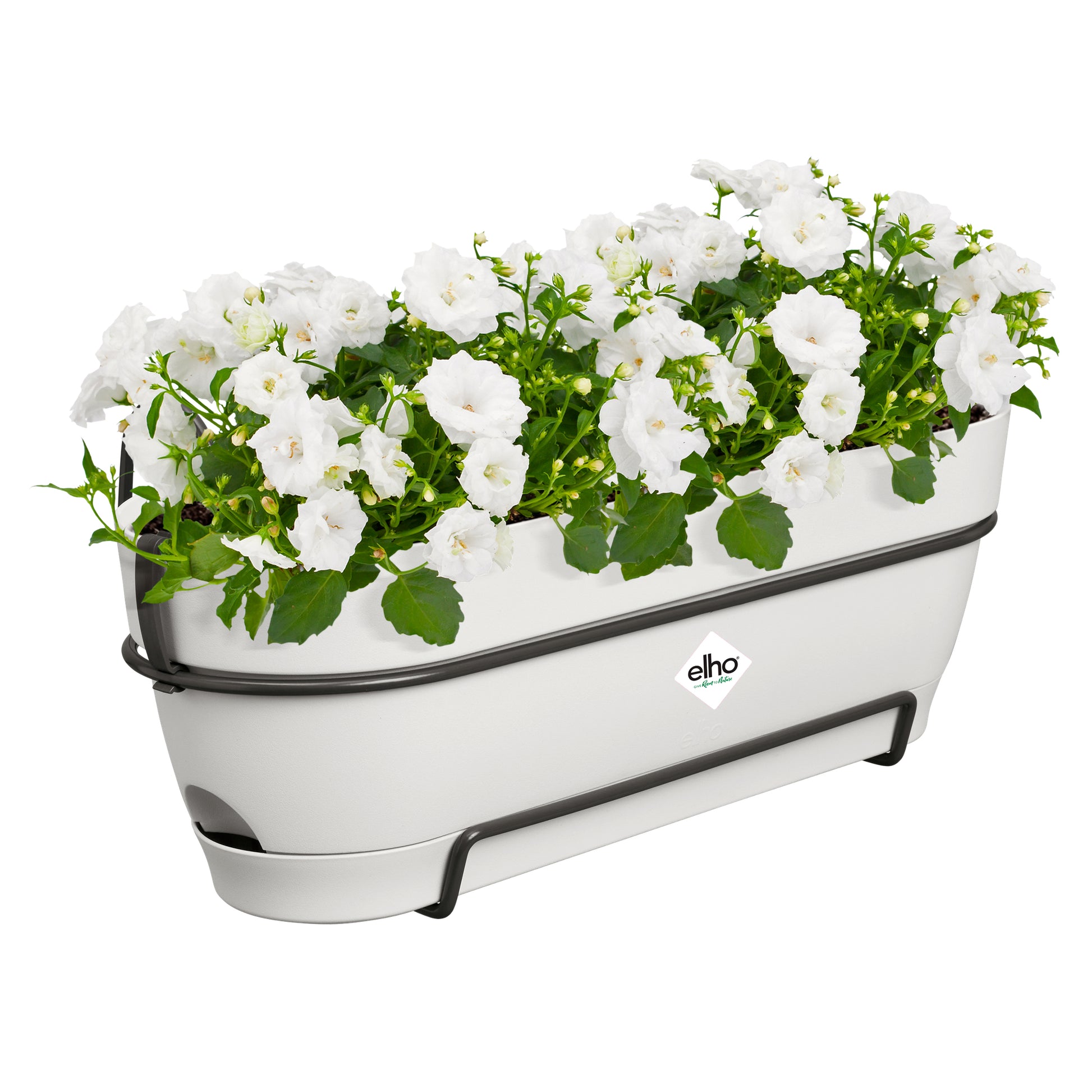 elho Campana Balkonkasten – 11 l – Kunststoff, weiss
