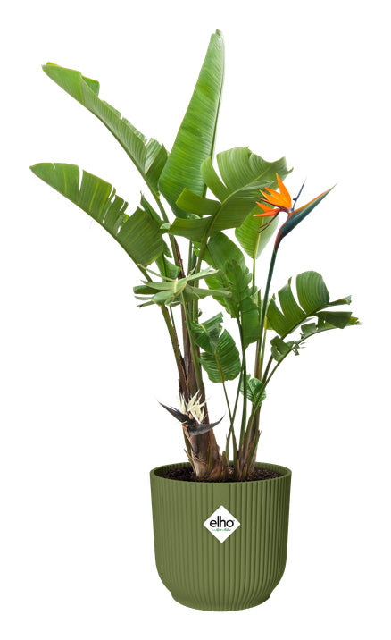 elho Vibes Fold Blumentopf – Ø 30 × 27 cm, 15 l – Kunststoff, Grün