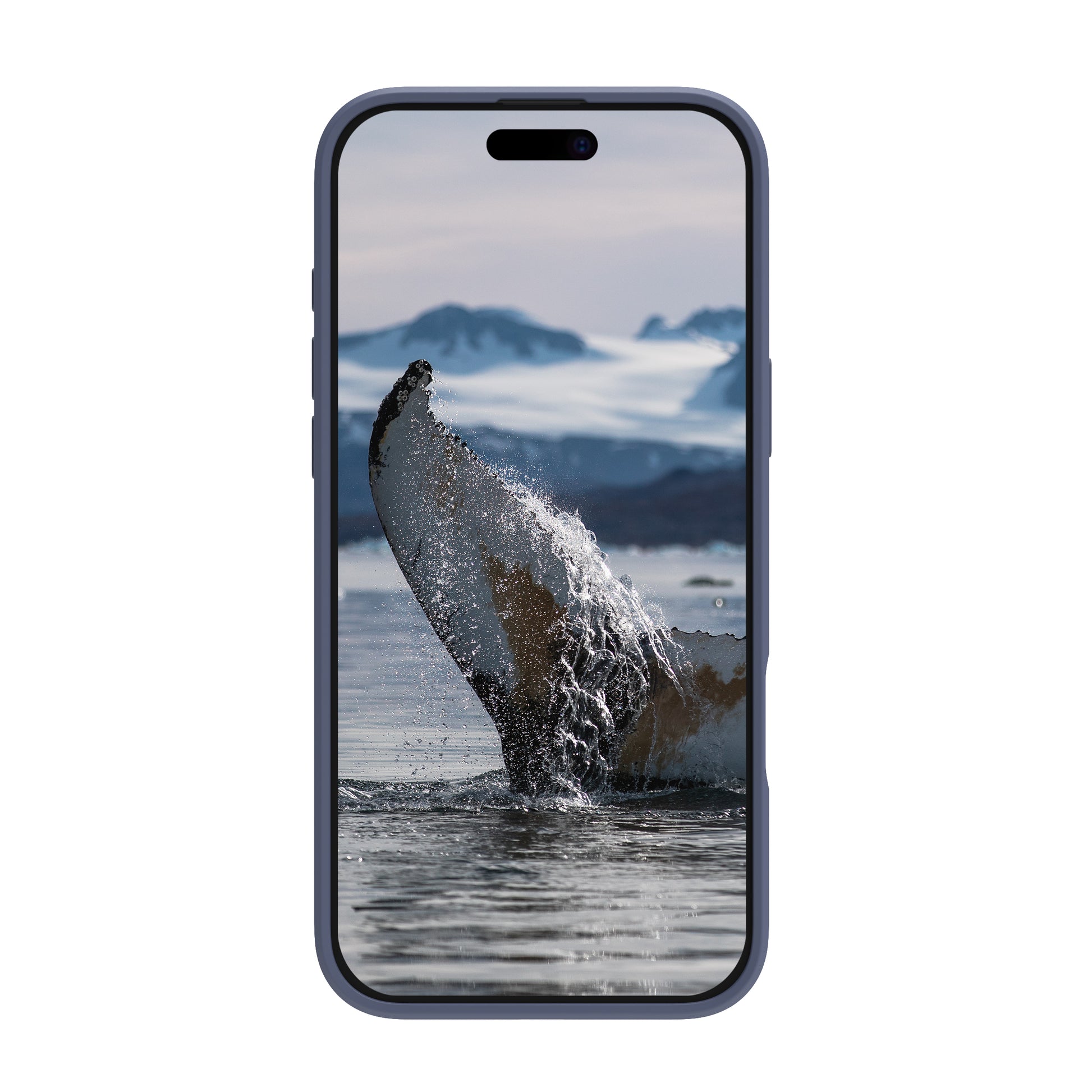 dbramante1928 Greenland Pro MS Backcover – für Apple iPhone 16 Pro Max, Recycelbarer Kunststoff, Pacific Blue