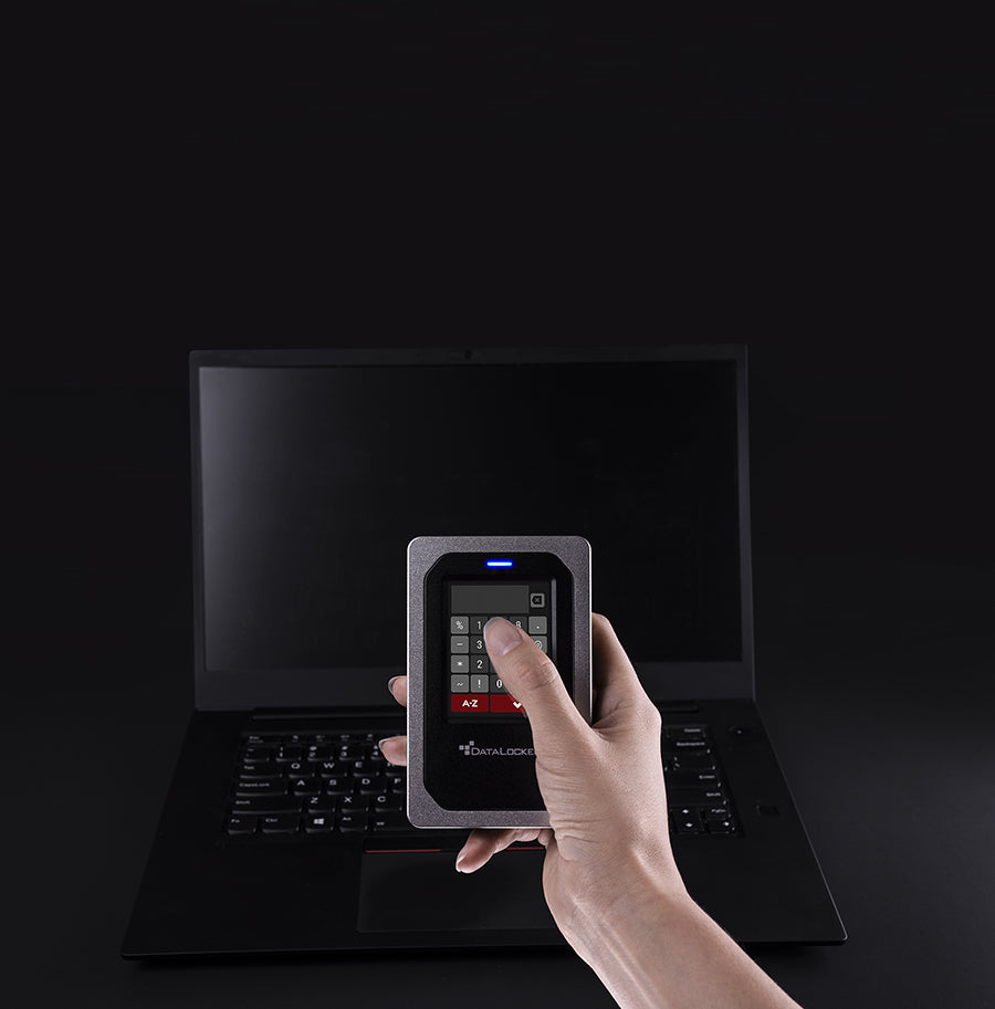 DataLocker DL4 FE 1 TB – für 2,5" SATA HDD, USB-C 3,2 Gen 1