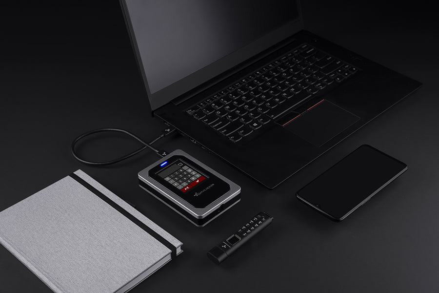 DataLocker DL4 FE 1 TB – für 2,5" SATA HDD, USB-C 3,2 Gen 1