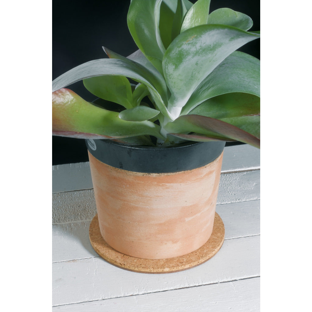 Colibri Topfuntersetzer – Ø 25 × 0,7 cm – Kork, Braun
