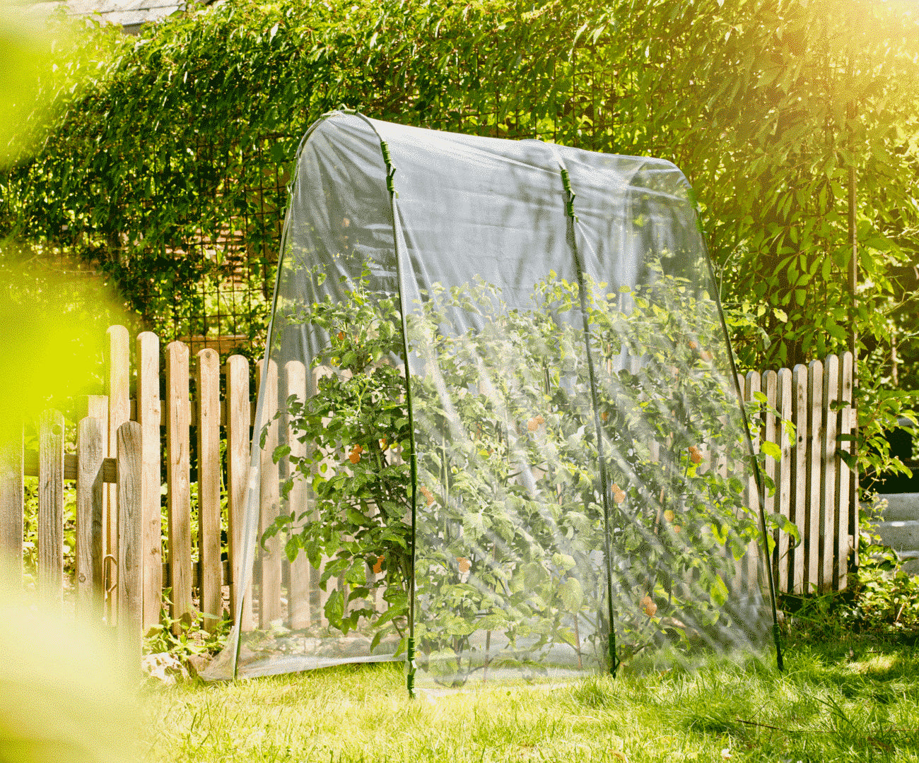 Windhager Tomaten-Folientunnel-Set – 27 × 200 × 270 cm, Folie, Transparent