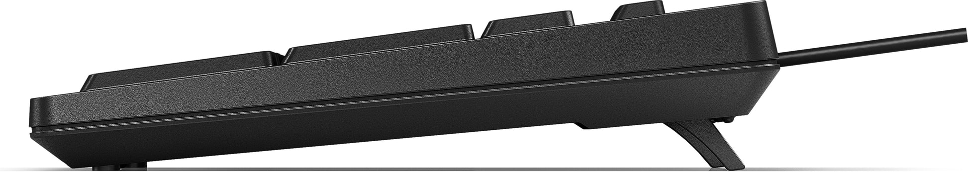 HP 125 – Tastatur – Membran – kabelgebunden (USB) – QWERTY (US-INT) – Schwarz