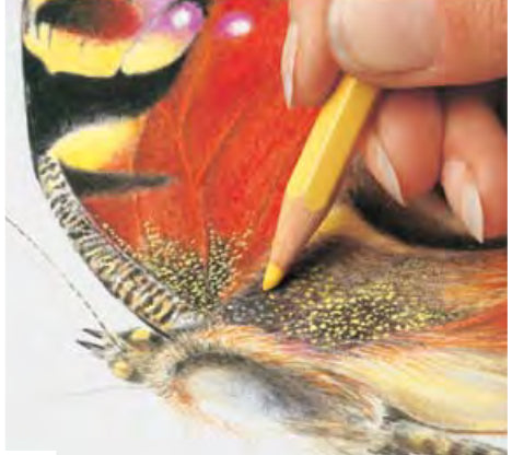 Caran d-Ache Caran d'Ache Prismalo Aquarellfarbstift – gelbgrün, Ø 3 mm, FSC