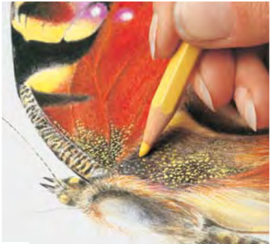 Caran d-Ache Caran d'Ache Prismalo Aquarellfarbstift – Purpur, Ø 3 mm, FSC