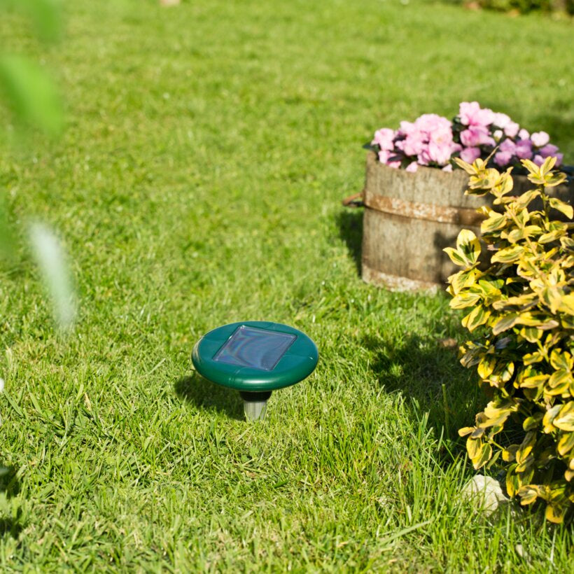 Windhager Tiervertreiber – 5,6 × 39,5 cm – grün – für Mäuse, Maulwurf