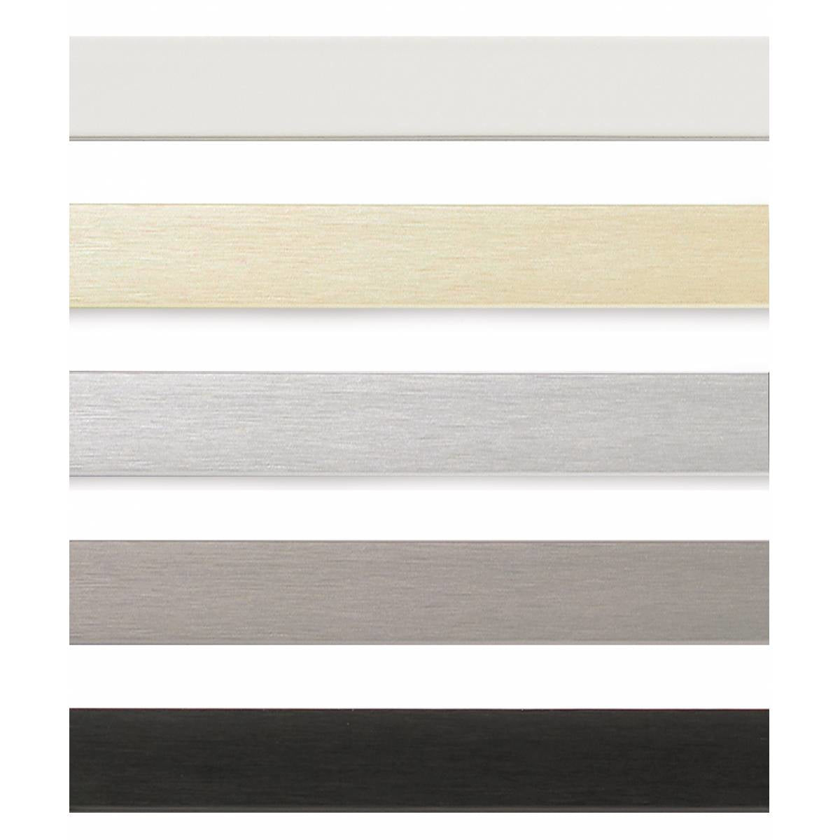 Walther Wechselrahmen, Kunststoff, Silber, 29,7 × 42 cm, mit Aufhänger – eco:plus