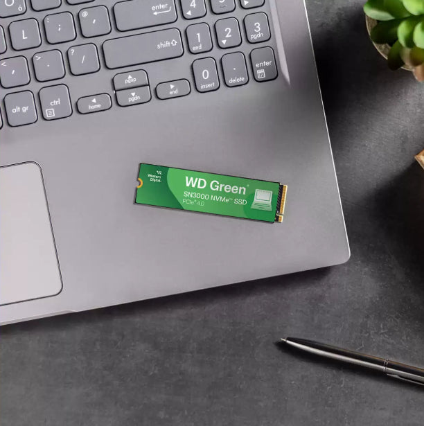 Western Digital Green SN3000 WDS500G4G0E-00CPS0 – für M.2 2280, PCIe 4.0 NVMe