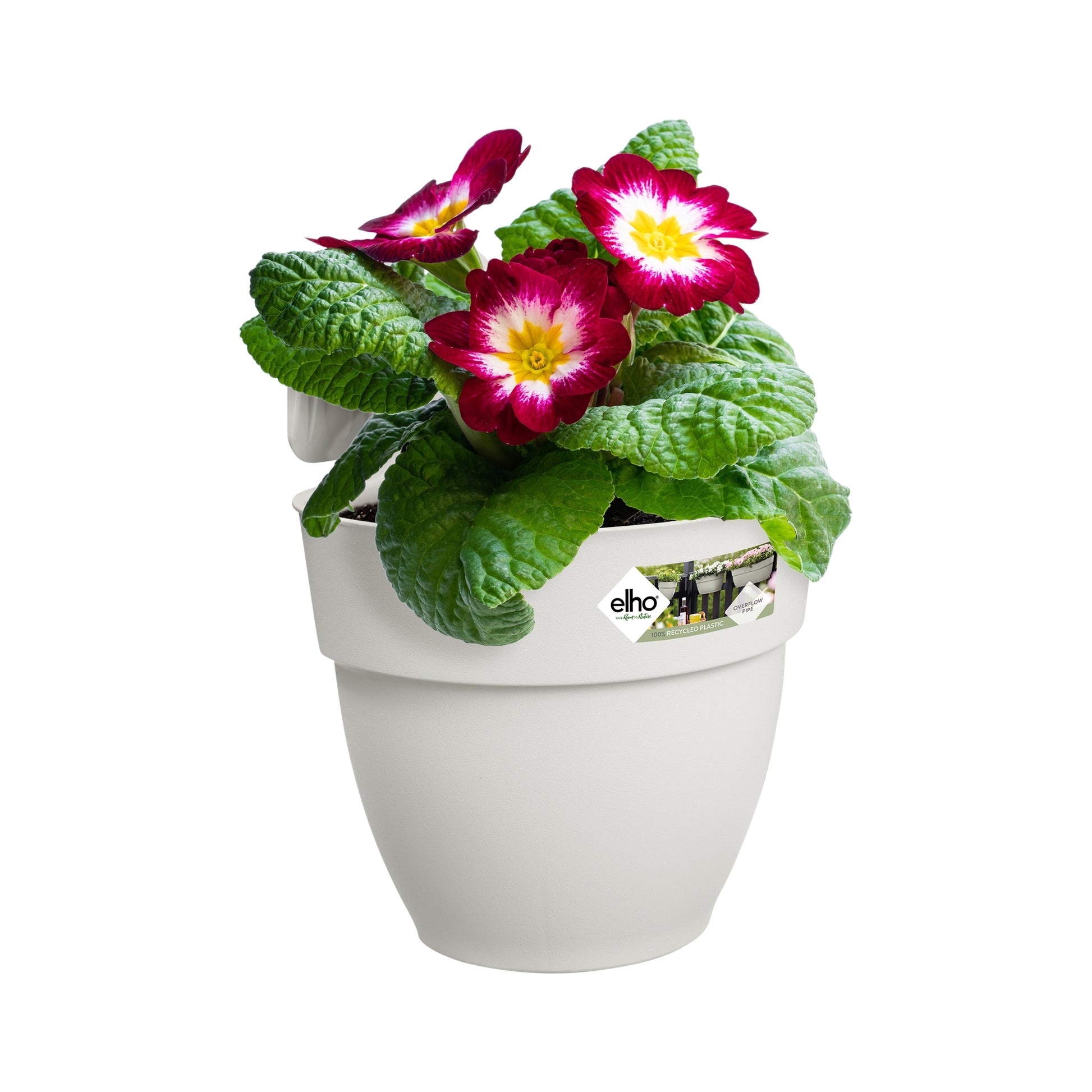 elho Hängeblumentopf – 2800 ml – Kunststoff, Weiss