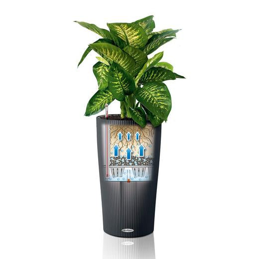 LECHUZA CILINDRO Pflanzgefäss – Ø 23 × 41 cm, 5,5 l – Kunststoff, sandbraun – automatische Bewässerung