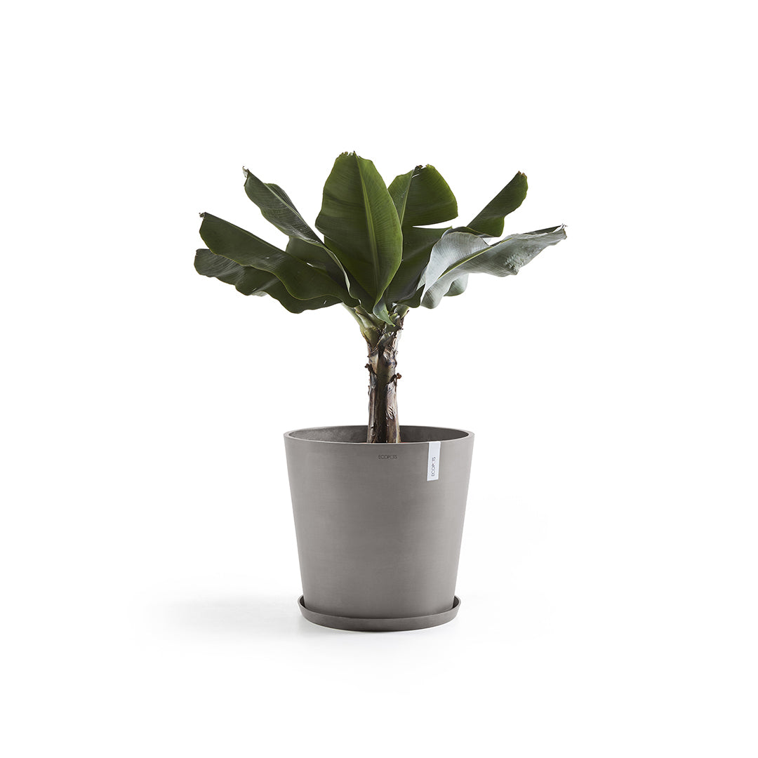 Ecopots Unterteller – für Ø 44,5 × 3,5 cm – Recycling-Kunststoff, Taupe