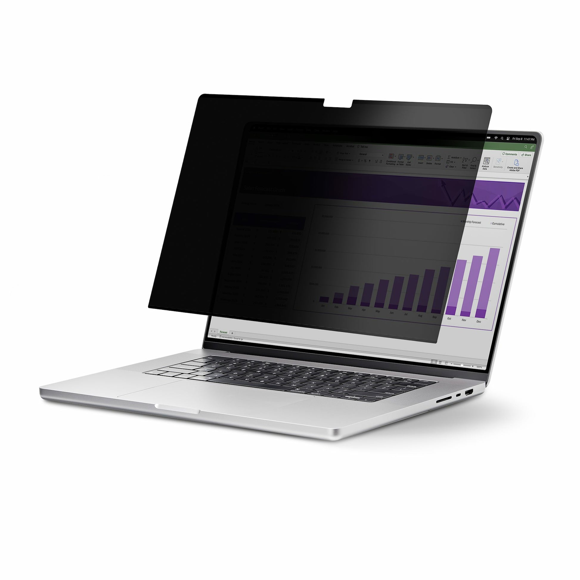 StarTech.com Displayschutz für Apple MacBook 13,3"