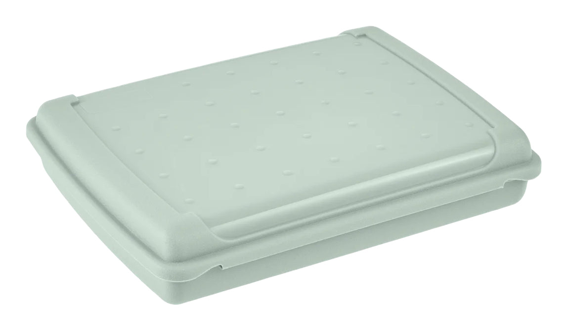 keeeper Luca Aufbewahrungsbox 0,5 l – Polypropylen – Grün – 130 × 35 × 170 mm