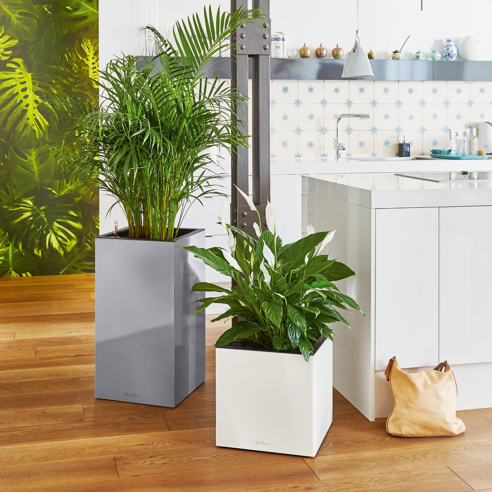 LECHUZA CANTO Premium Pflanzgefäss – 40 × 40 × 40 cm – Kunststoff, anthrazit