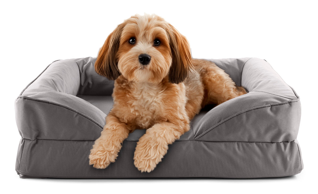 Lumaland Hundebett – 60 × 70 × 18 cm, Polyester/PVC, abwaschbarer Bezug, Anti-Rutsch-Basis, Grau, 1 Stk.