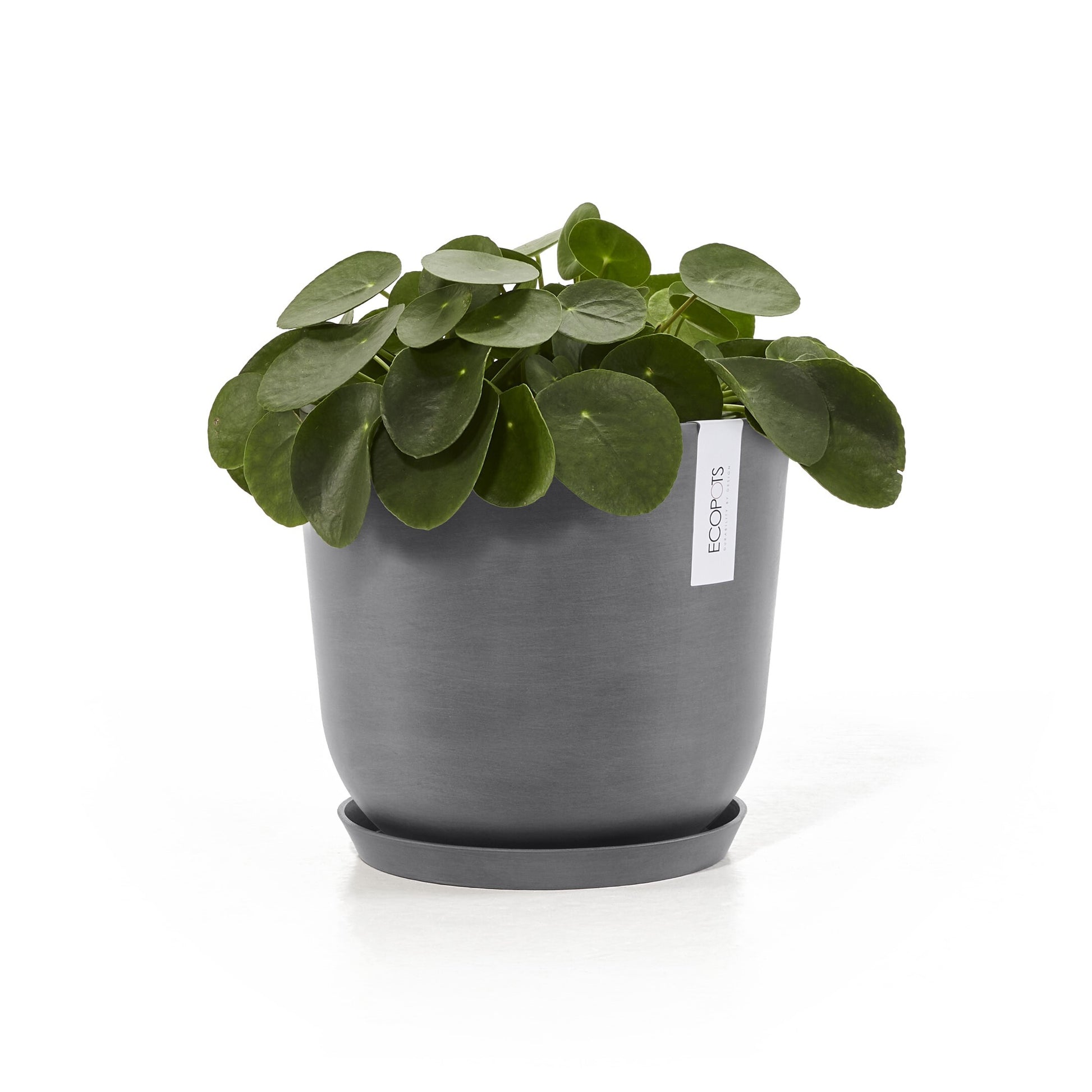 Ecopots Unterteller – Ø 21 × 2,5 cm – Recycling-Kunststoff, Grau