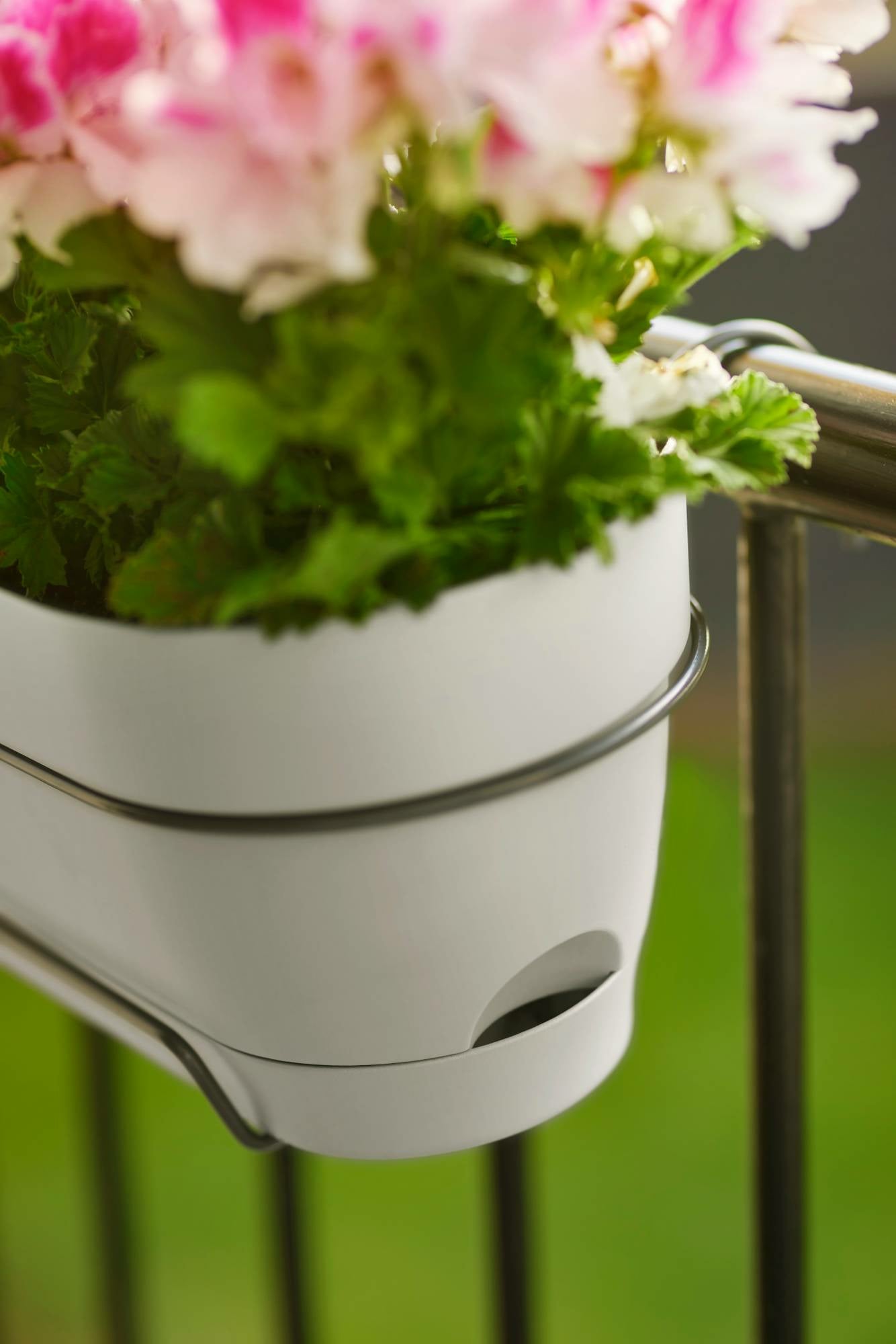 elho Campana Balkonkasten – 11 l – Kunststoff, weiss