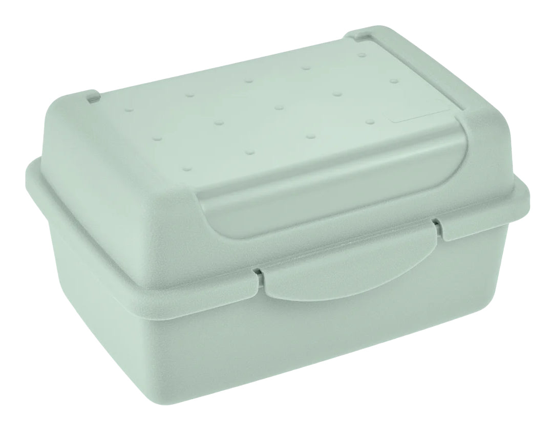 keeeper Luca Aufbewahrungsbox 0,35 l – Polypropylen – Transparent/Grün – 110 × 60 × 75 mm