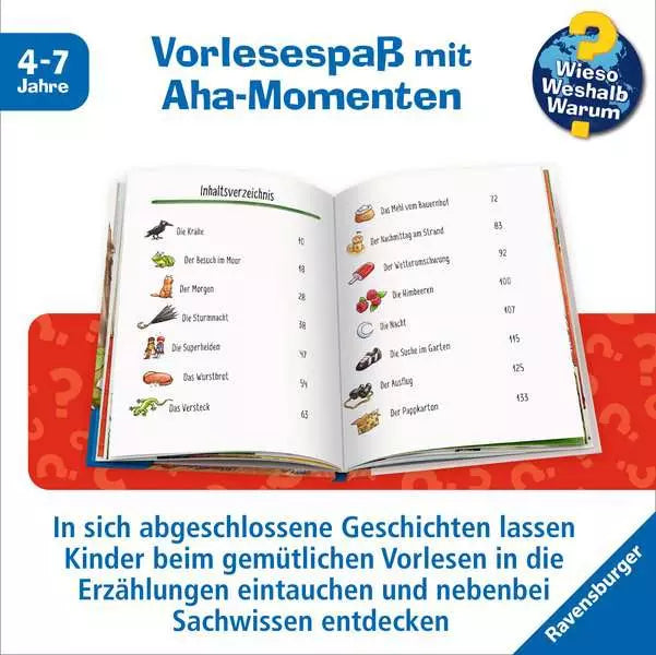 Ravensburger Buch – WWW: Was passiert im Wald und auf der Wiese?, Hardcover, 144 Seiten, Deutsch, ab 4 Jahren
