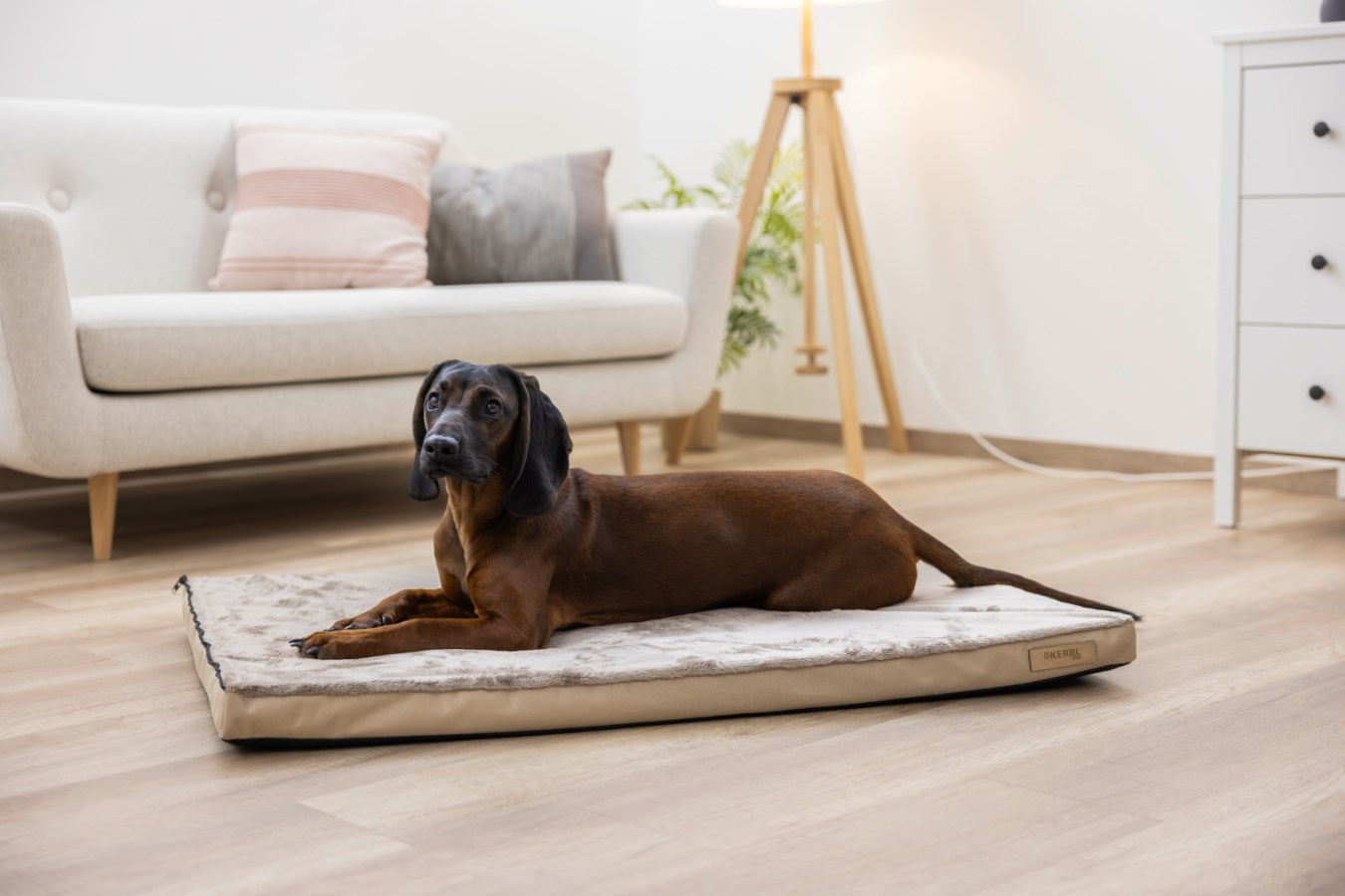 Kerbl Multifunktionsmatratze Hundebett – 72 × 50 × 5 cm, Baumwollvlies/Polyester, Beige/Braun, 1 Stk.