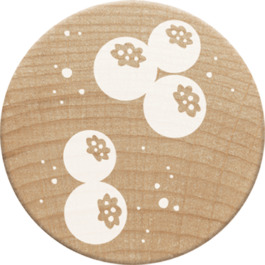 Colop Stempel – Woodies Beeren – Buchenholz – Abdruck Ø 30 mm