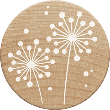 Colop Stempel – Woodies Löwenzahn – Buchenholz – Ø 30 mm