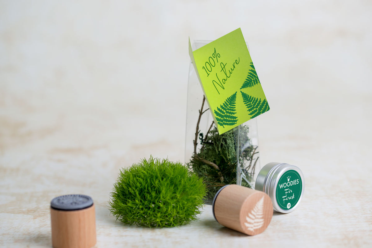 Colop Motivstempel – Farnblatt – Buchenholz – 30 mm Abdruckgrösse