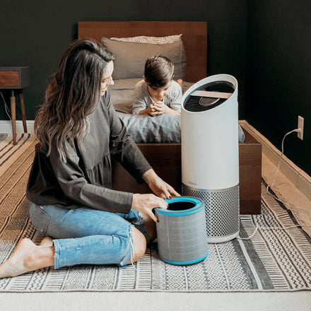 Leitz 3-in-1 Kombifilter – für TruSens Z-3000, Allergie & Grippe (antiviral), schwarz
