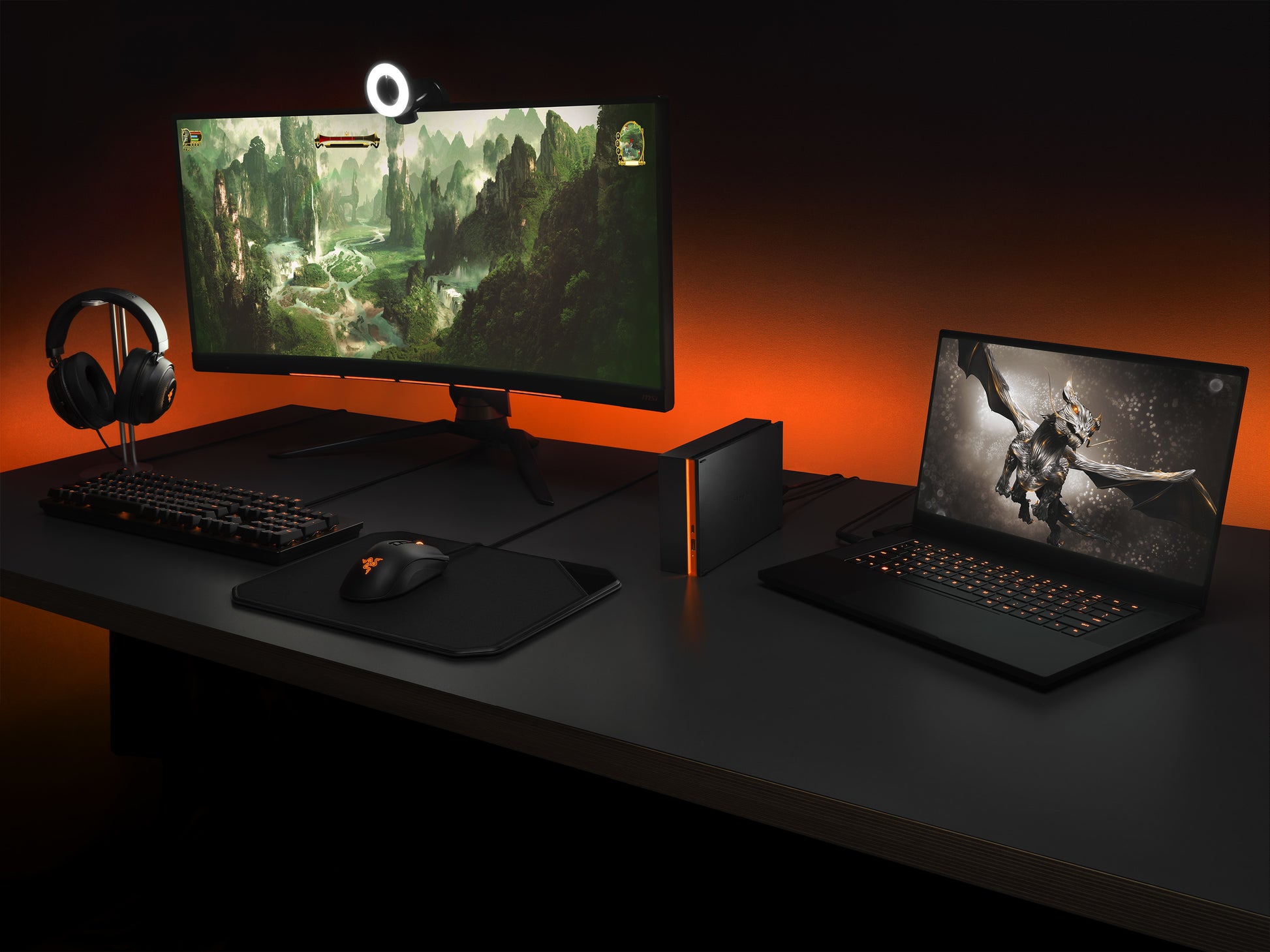 Seagate FireCuda Gaming Hub Speichergerät – 8 TB, USB 3.2 Gen 1, 3,5"