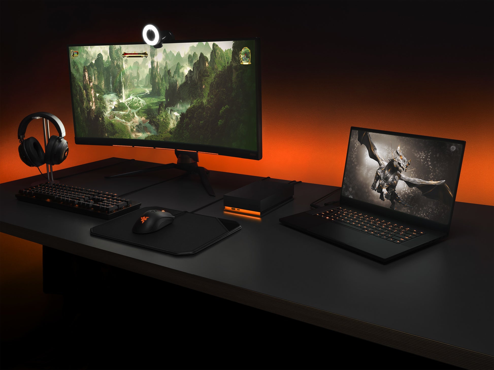 Seagate FireCuda Gaming Hub Speichergerät – 8 TB, USB 3.2 Gen 1, 3,5"