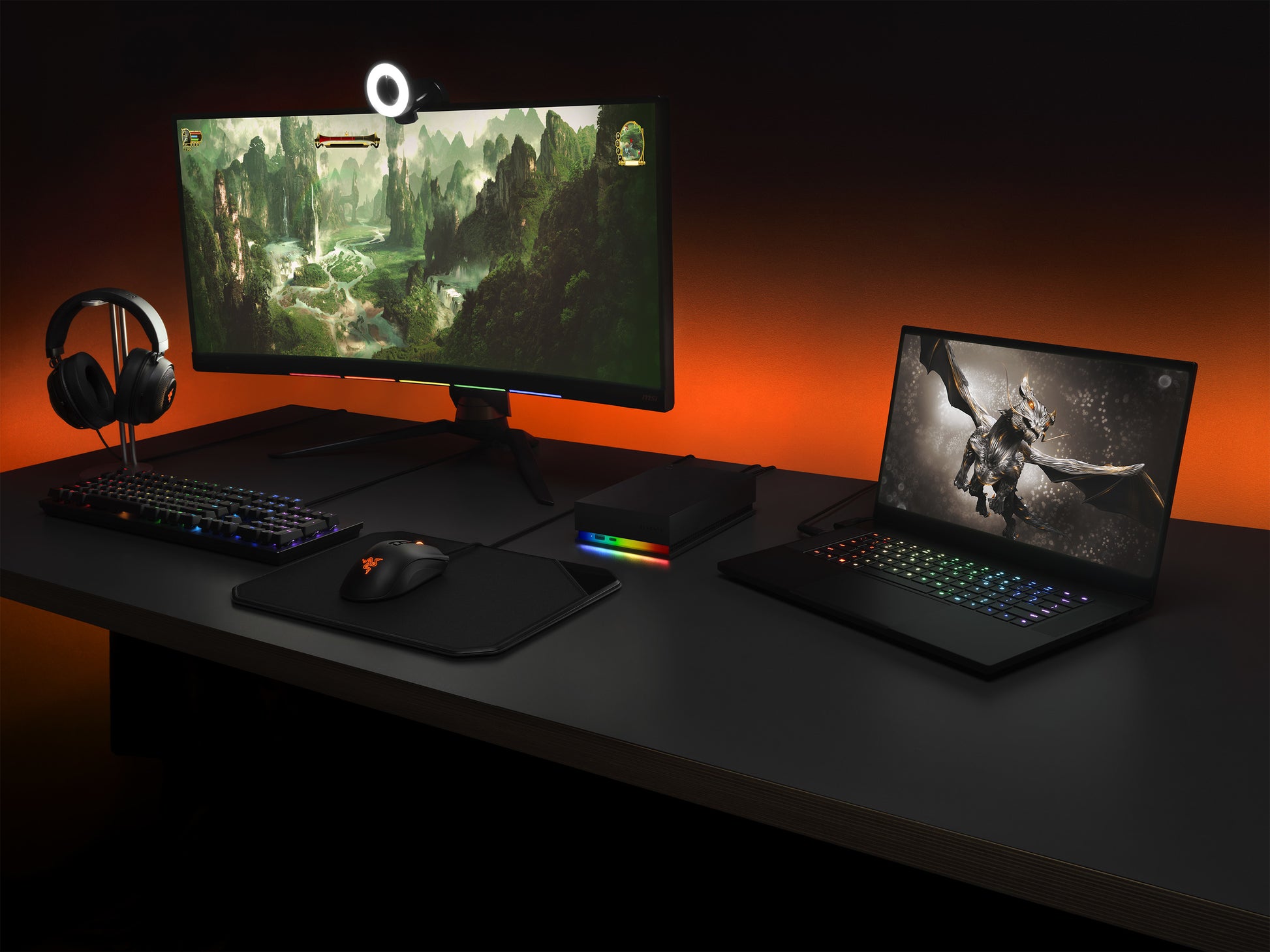 Seagate FireCuda Gaming Hub Speichergerät – 8 TB, USB 3.2 Gen 1, 3,5"