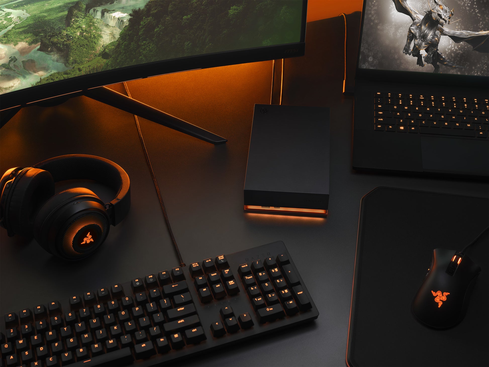 Seagate FireCuda Gaming Hub Speichergerät – 8 TB, USB 3.2 Gen 1, 3,5"