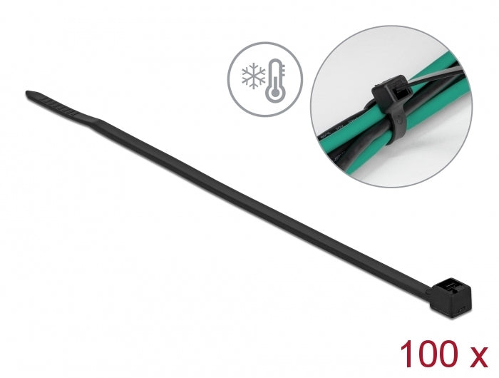 DeLOCK Kabelbinder, 100×2,5 mm, 100er-Pack – schwarz