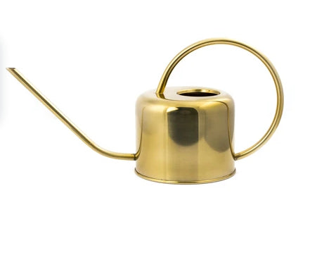 Kikkerland Giesskanne – 1200 ml – Stahl, Gold