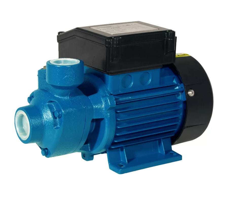 Elpumps PP 60 – Wasserpumpe, 230 V