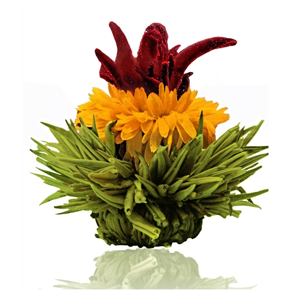 Creano Erblühtee Grüntee – 6 Teeblumen – Magnetbox